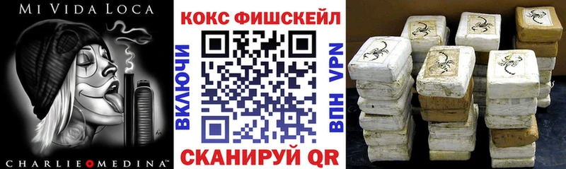 закладки Приморск Cocaine FishScale